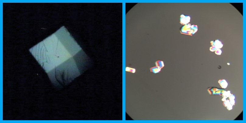 A weakly birefringent protein crystal (left) and highly birefringent salt crystal (right).