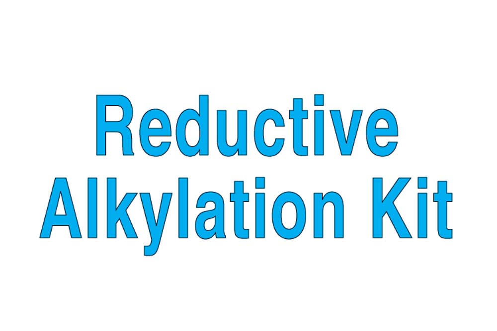 HR2-434 Reductive Alkylation Kit